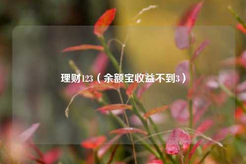 理财123（余额宝收益不到3）