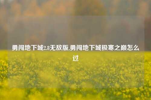 勇闯地下城2.8无敌版,勇闯地下城极寒之巅怎么过