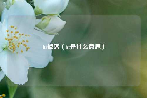 hs掉落（bt是什么意思）