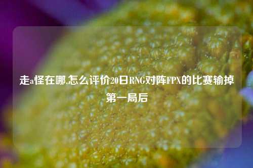 走a怪在哪,怎么评价20日RNG对阵FPX的比赛输掉第一局后