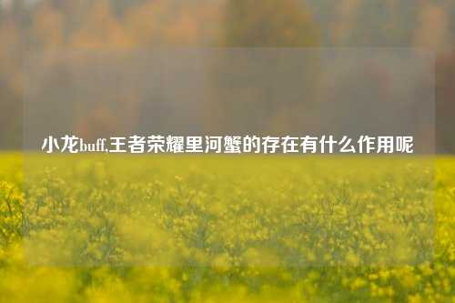 小龙buff,王者荣耀里河蟹的存在有什么作用呢