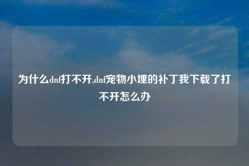 为什么dnf打不开,dnf宠物小埋的补丁我下载了打不开怎么办