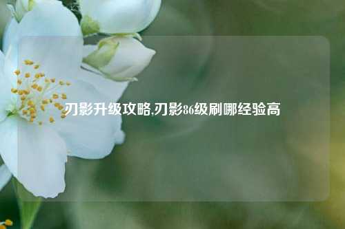 刃影升级攻略,刃影86级刷哪经验高