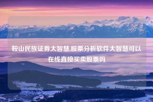 鞍山民族证券大智慧,股票分析软件大智慧可以在线直接买卖股票吗