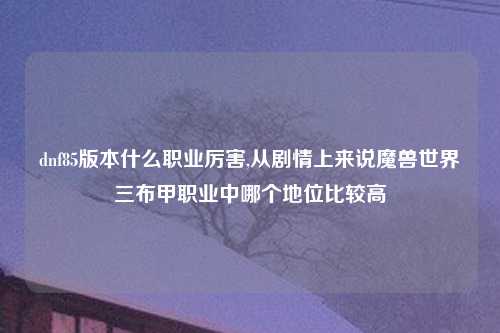 dnf85版本什么职业厉害,从剧情上来说魔兽世界三布甲职业中哪个地位比较高