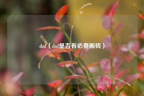 dnf（dnf是否有必要搬砖）