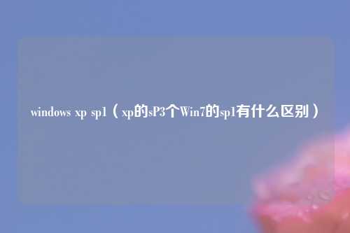 windows xp sp1（xp的sP3个Win7的sp1有什么区别）