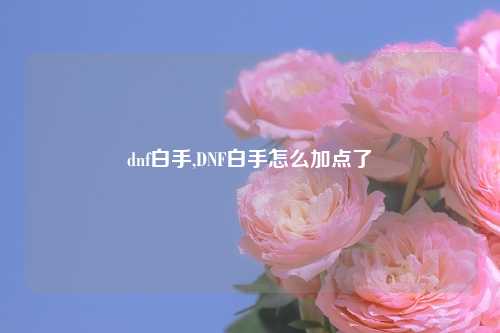 dnf白手,DNF白手怎么加点了