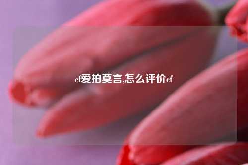 cf爱拍莫言,怎么评价cf