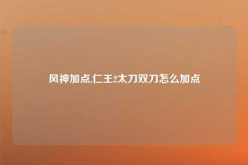 风神加点,仁王2太刀双刀怎么加点