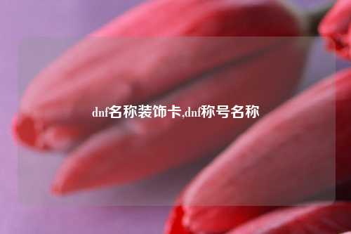 dnf名称装饰卡,dnf称号名称