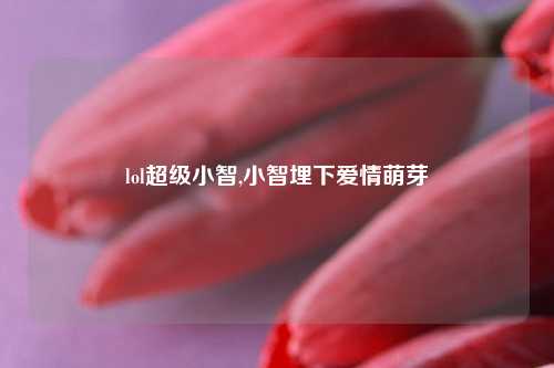 lol超级小智,小智埋下爱情萌芽