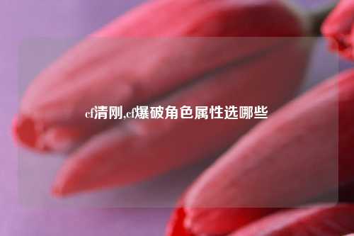 cf清刚,cf爆破角色属性选哪些