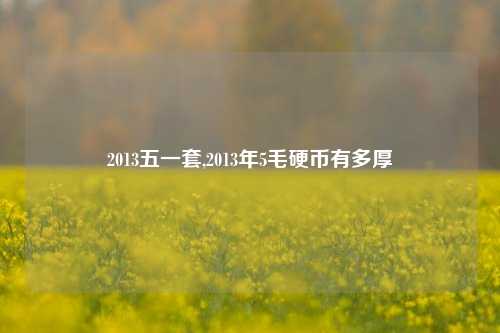 2013五一套,2013年5毛硬币有多厚