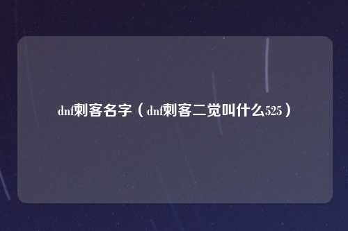 dnf刺客名字（dnf刺客二觉叫什么525）