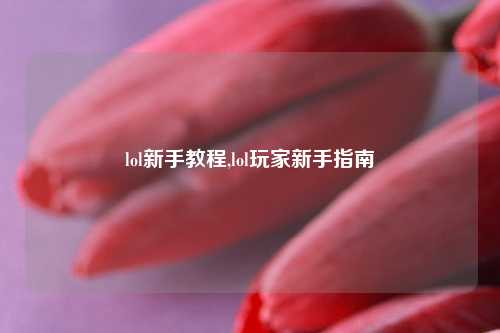 lol新手教程,lol玩家新手指南
