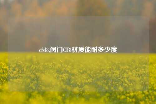 cfsl8,阀门CF8材质能耐多少度