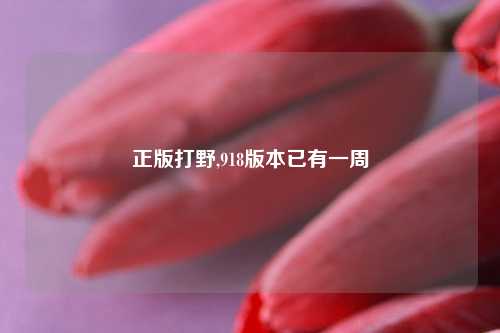 正版打野,918版本已有一周