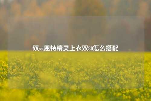 双ss,恩特精灵上衣双80怎么搭配