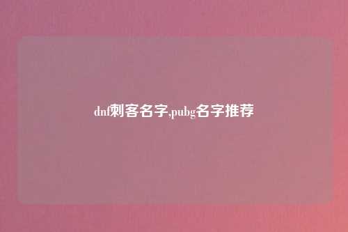 dnf刺客名字,pubg名字推荐
