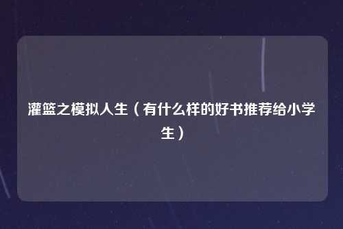 灌篮之模拟人生（有什么样的好书推荐给小学生）