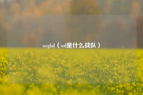 wcglol（wd是什么战队）