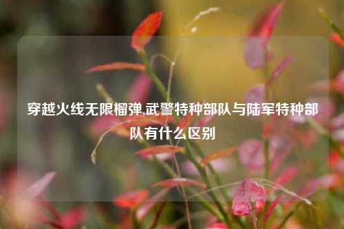 穿越火线无限榴弹,武警特种部队与陆军特种部队有什么区别