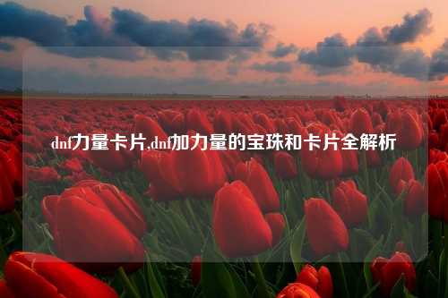 dnf力量卡片,dnf加力量的宝珠和卡片全解析