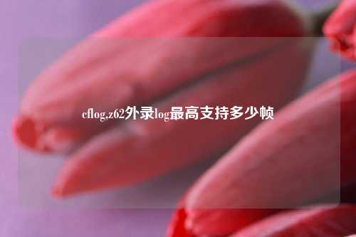 cflog,z62外录log最高支持多少帧