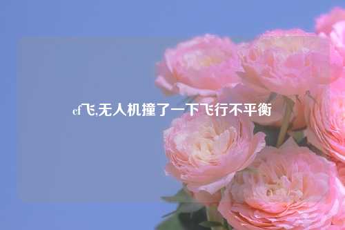 cf飞,无人机撞了一下飞行不平衡