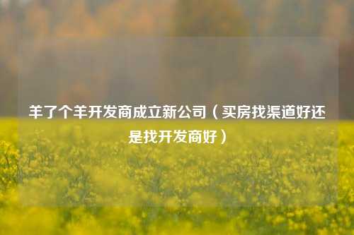 羊了个羊开发商成立新公司（买房找渠道好还是找开发商好）
