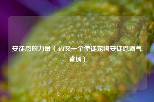 安徒恩的力量（dnf又一个使徒宠物安徒恩霸气登场）