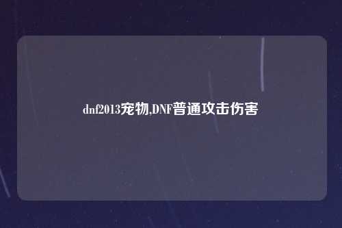 dnf2013宠物,DNF普通攻击伤害