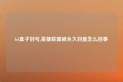 lol盒子封号,英雄联盟被永久封是怎么回事