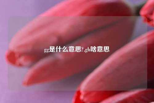 gg是什么意思?,gh啥意思