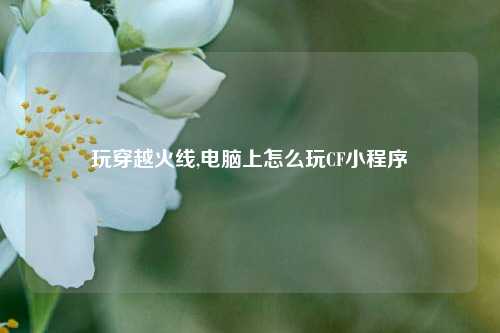 玩穿越火线,电脑上怎么玩CF小程序