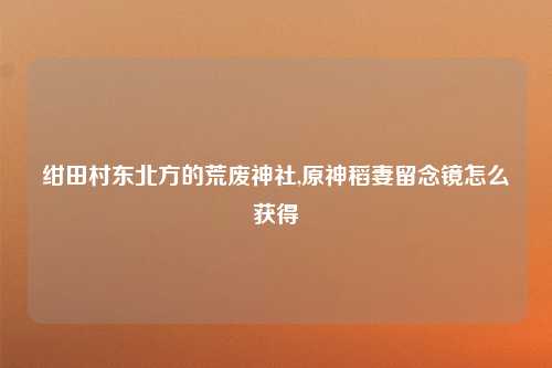 绀田村东北方的荒废神社,原神稻妻留念镜怎么获得