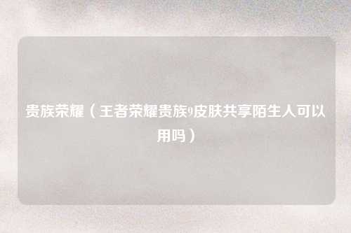 贵族荣耀（王者荣耀贵族9皮肤共享陌生人可以用吗）
