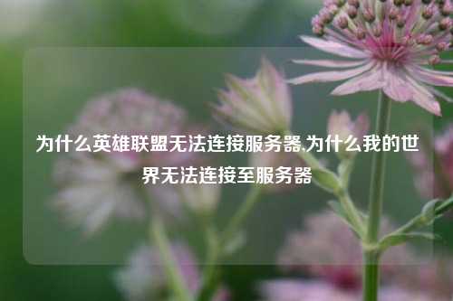 为什么英雄联盟无法连接服务器,为什么我的世界无法连接至服务器