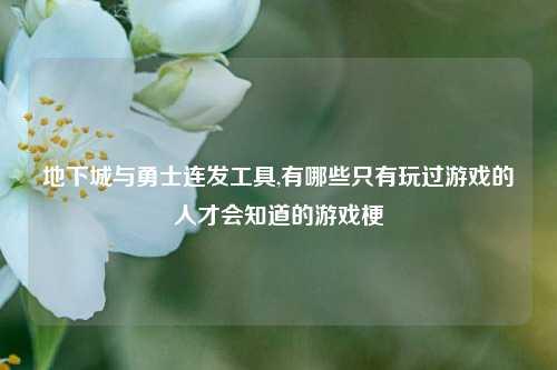 地下城与勇士连发工具,有哪些只有玩过游戏的人才会知道的游戏梗