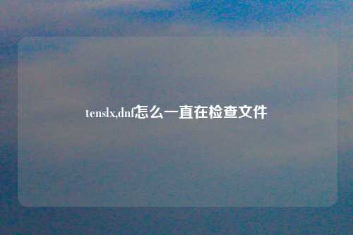 tenslx,dnf怎么一直在检查文件