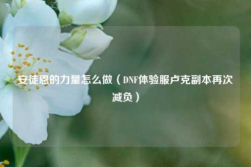 安徒恩的力量怎么做（DNF体验服卢克副本再次减负）