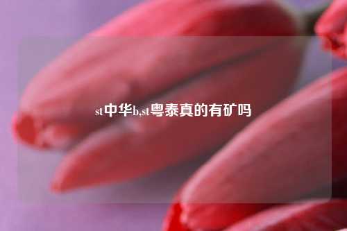 st中华b,st粤泰真的有矿吗