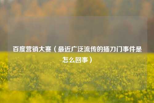 百度营销大赛（最近广泛流传的插刀门事件是怎么回事）