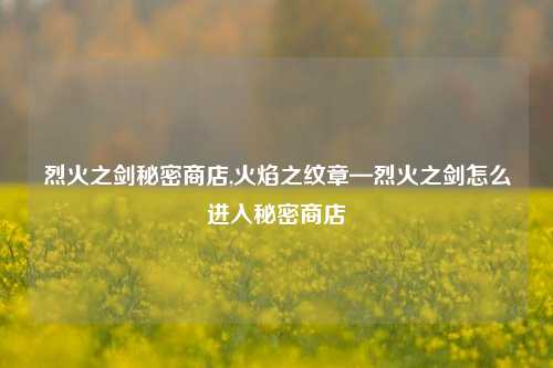 烈火之剑秘密商店,火焰之纹章—烈火之剑怎么进入秘密商店