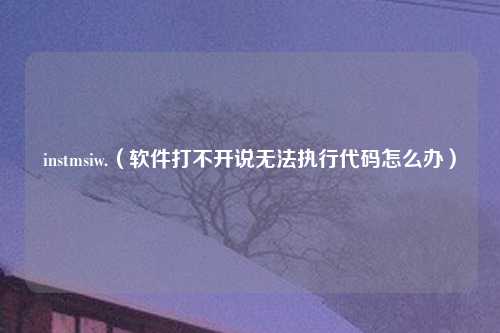 instmsiw.（软件打不开说无法执行代码怎么办）