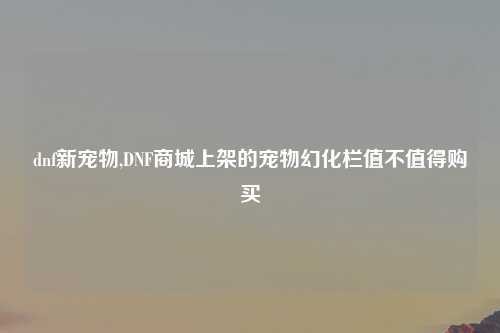 dnf新宠物,DNF商城上架的宠物幻化栏值不值得购买