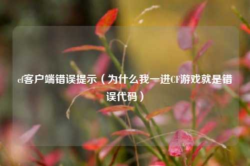 cf客户端错误提示（为什么我一进CF游戏就是错误代码）