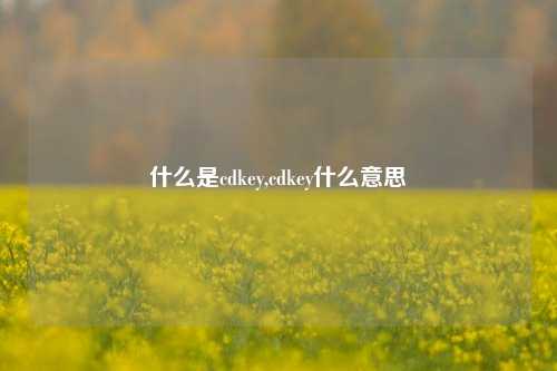 什么是cdkey,cdkey什么意思