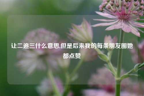 让二追三什么意思,但是后来我的每条朋友圈她都点赞
